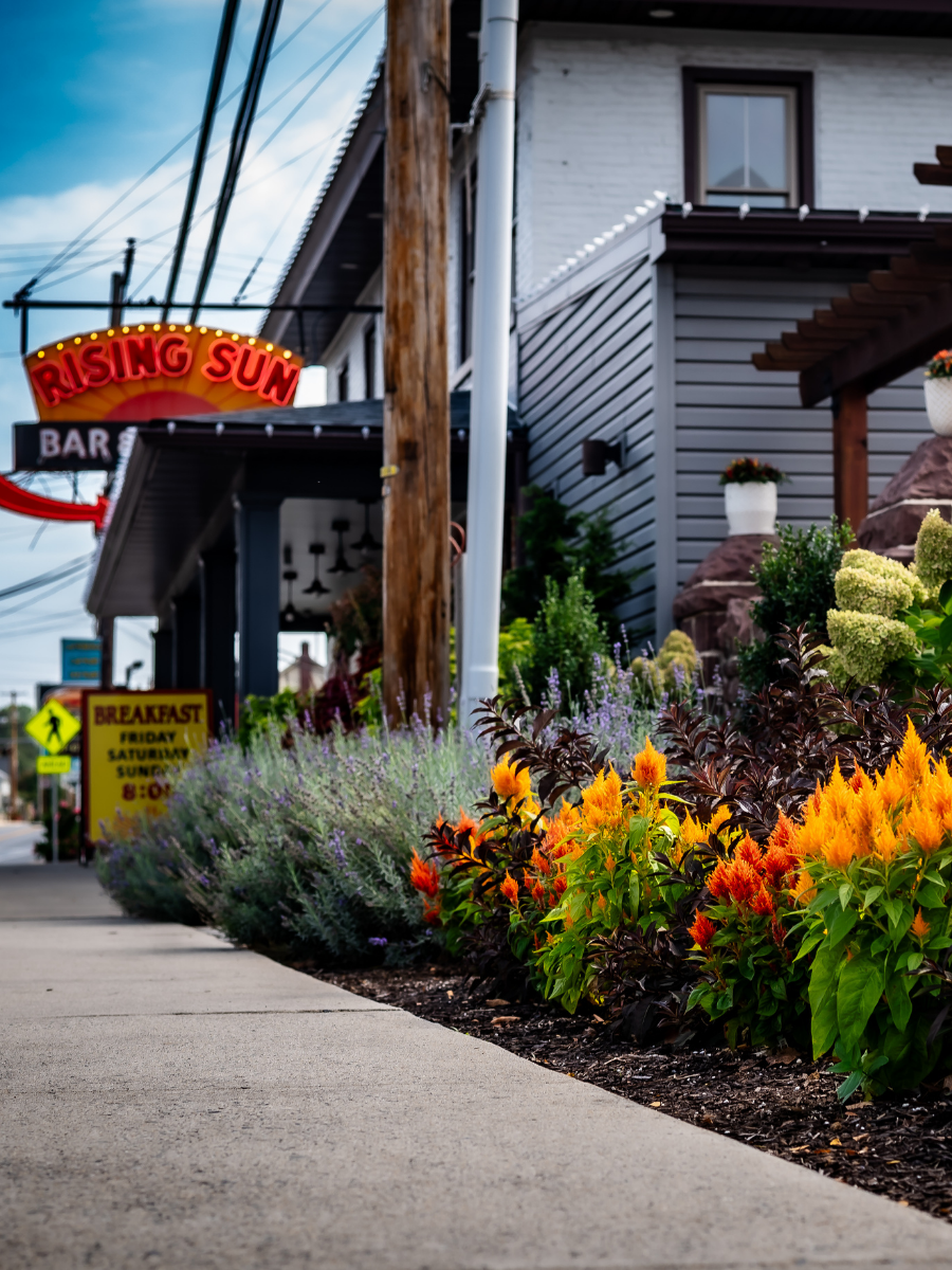 Rising Sun Bar & Kitchen