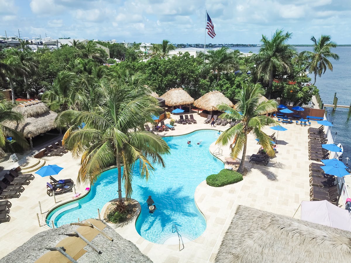 a group of palm trees next to a pool of water