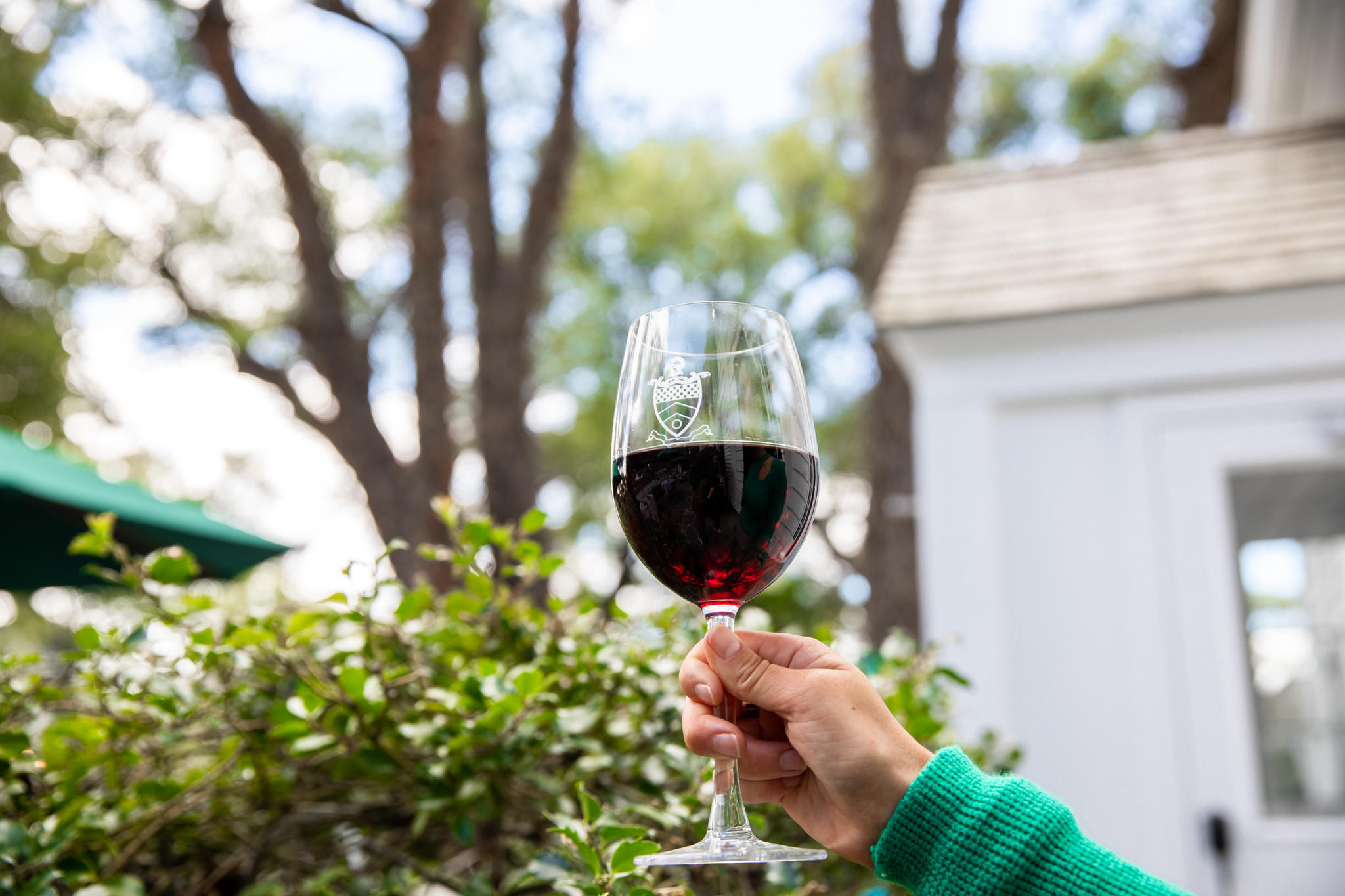 a hand holding a glass of wine