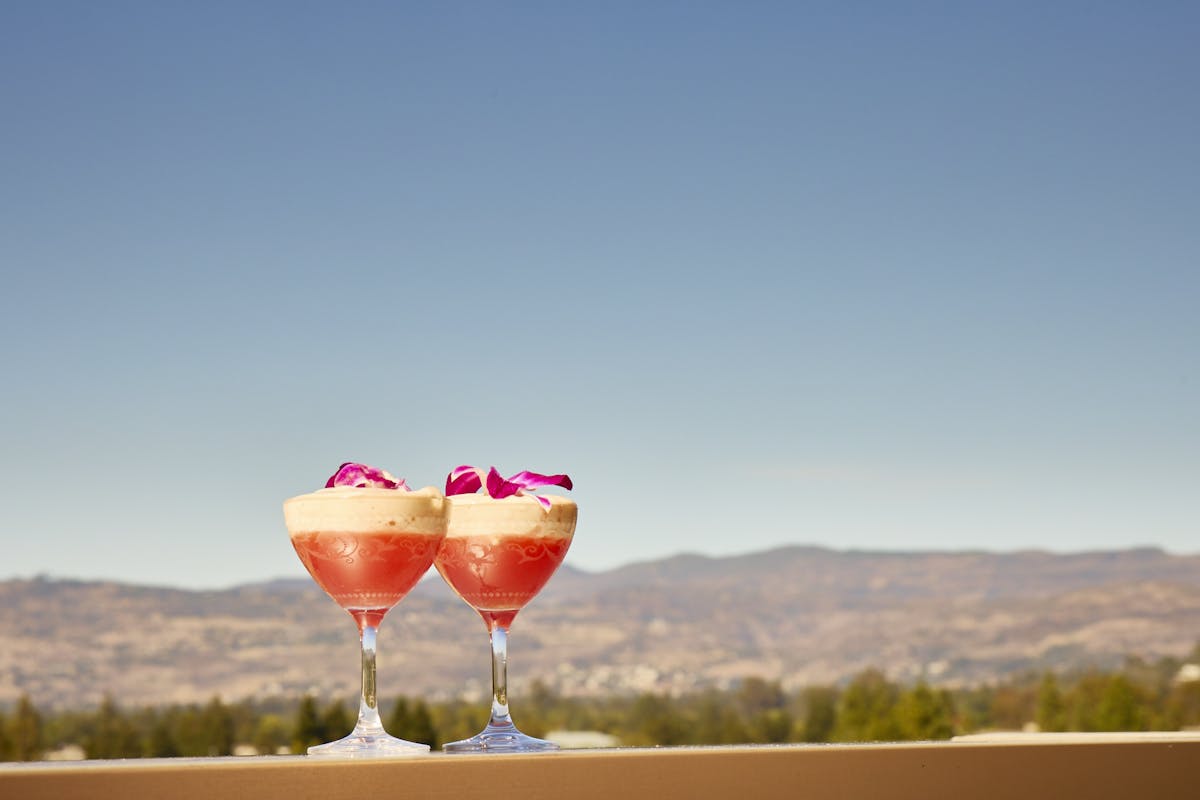 a glass with a mountain in the background