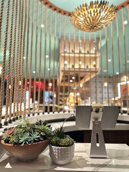 Brookline Menus The Painted Burro Mexican Kitchen + Tequila Bar