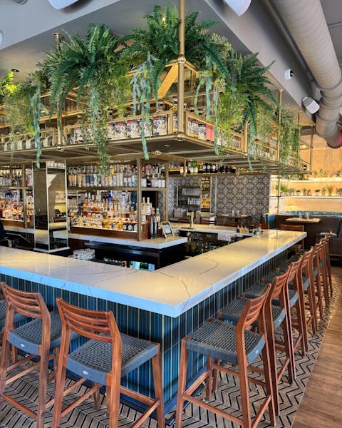 Painted Burro Harvard Square Hours + Location The Painted Burro