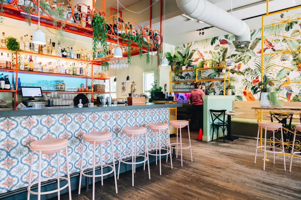 a bar with stools and shelves in a room with plants and flowers