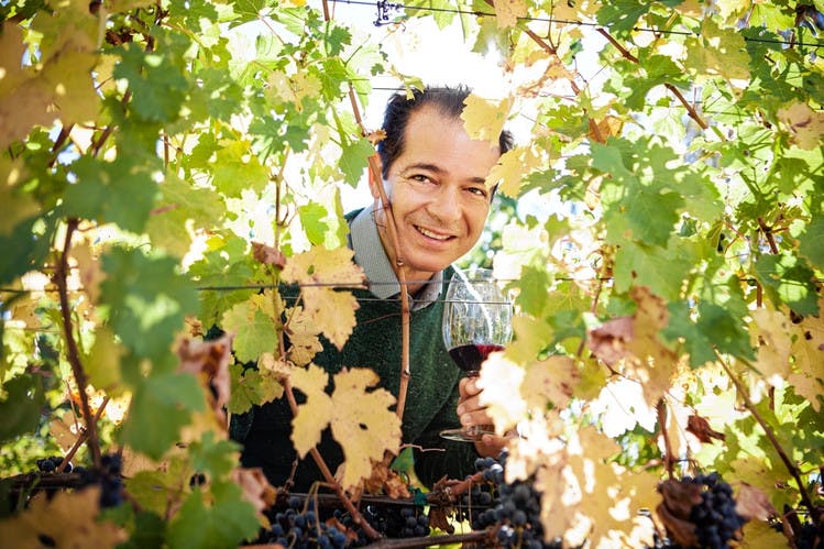 a man posing behind the leaves of a tree