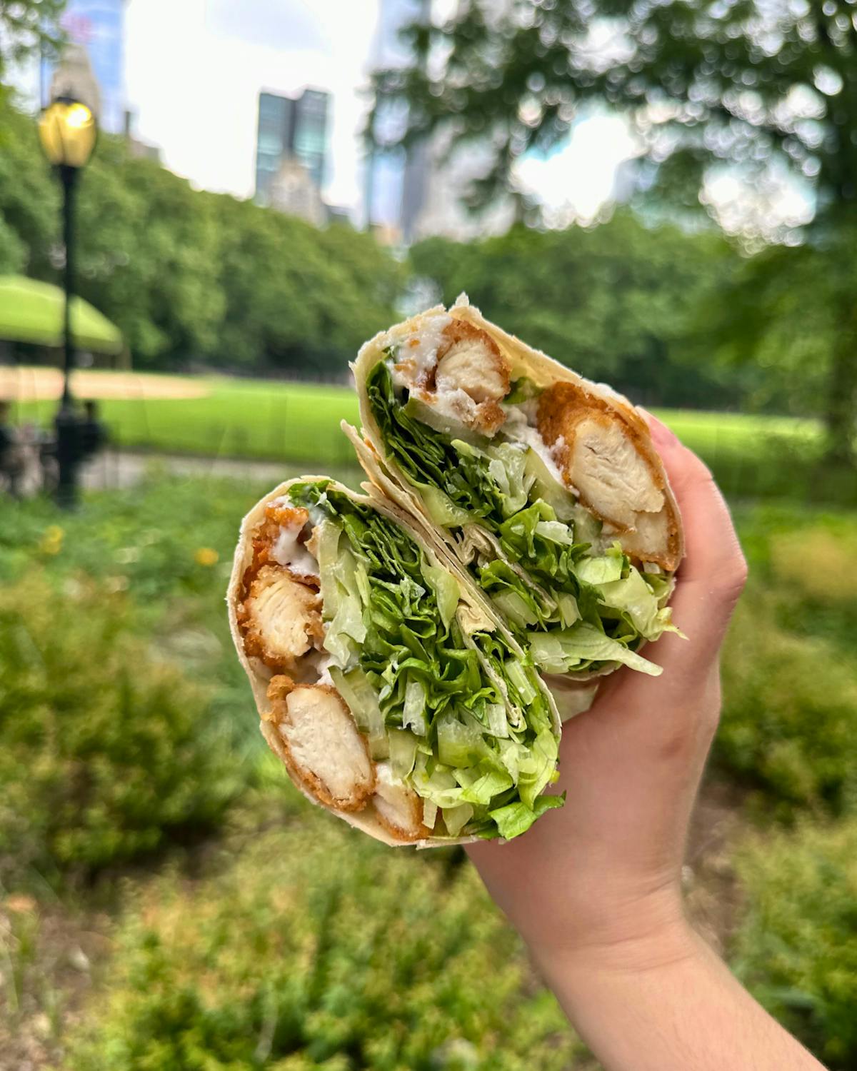 a healthy wrap