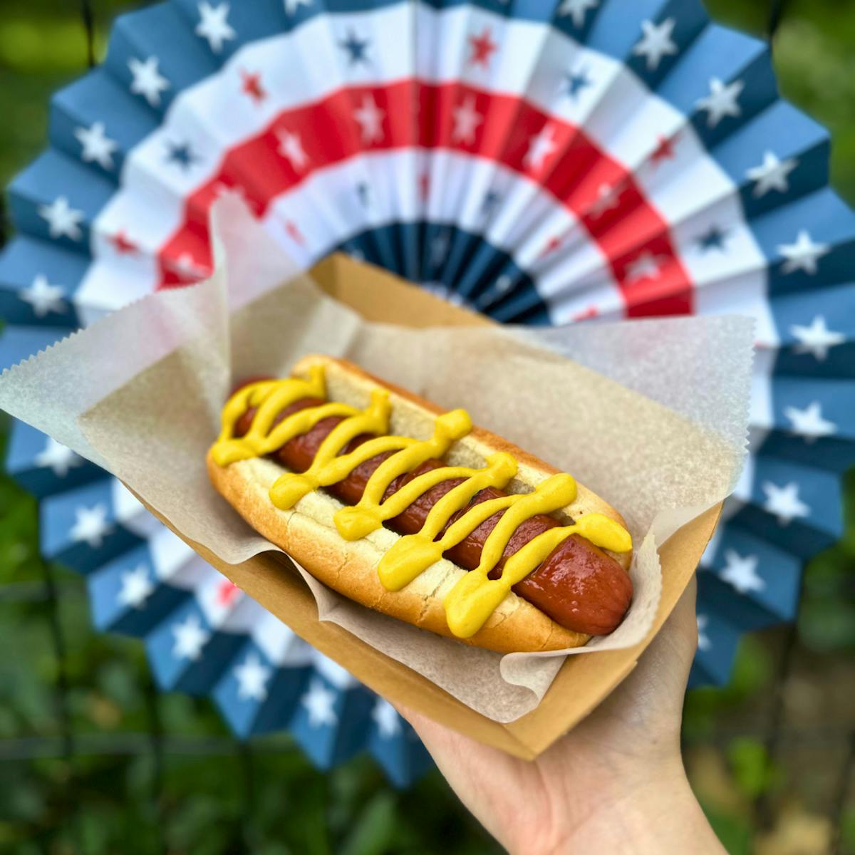 a hot dog with mustard