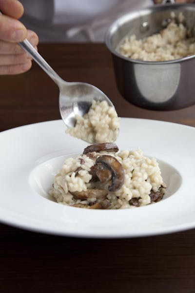 Hours + Location Mio Modo Italian Restaurant in IL