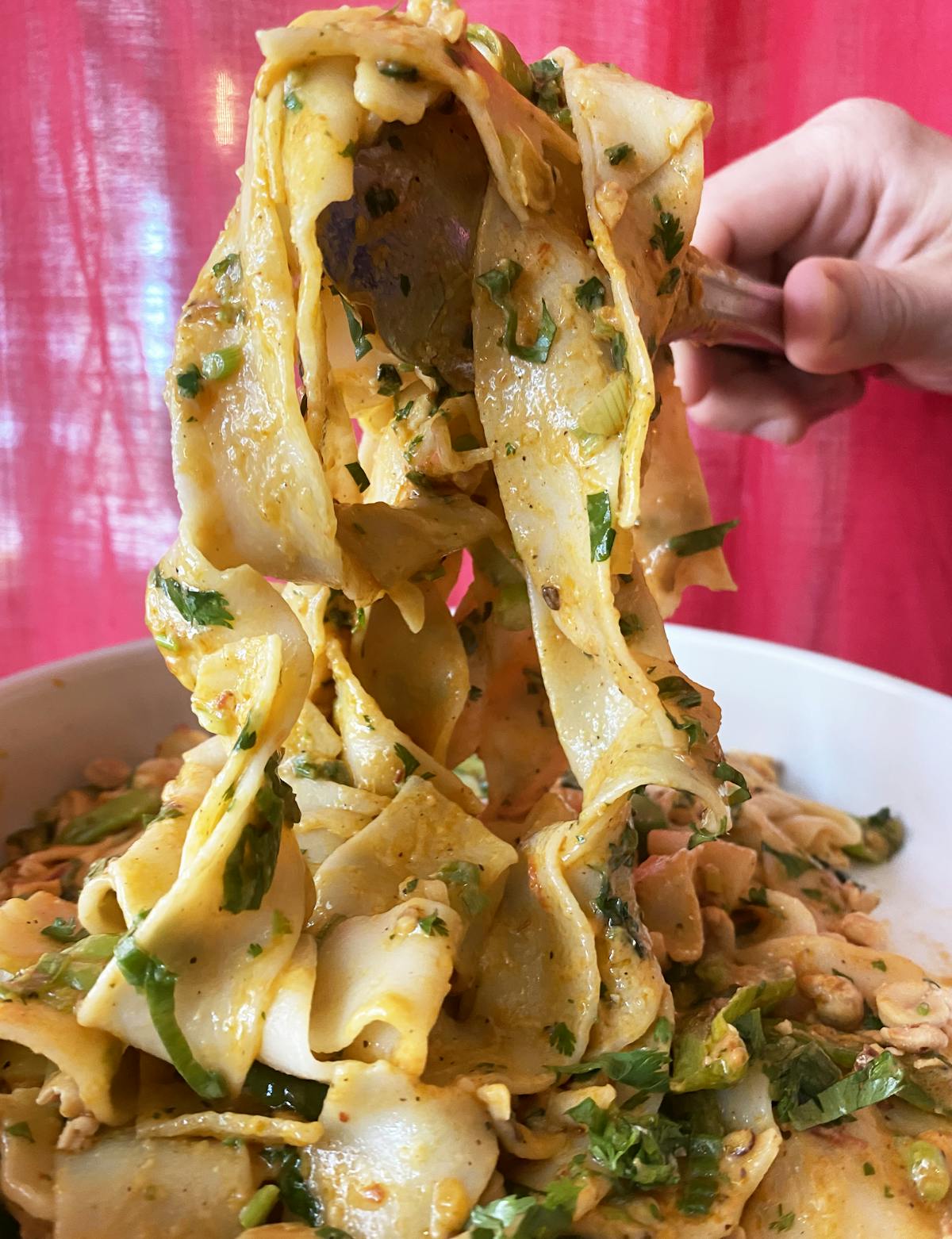 a close up of a person holding a plate of food