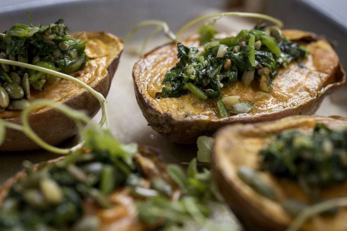 a closeup of a plate of food