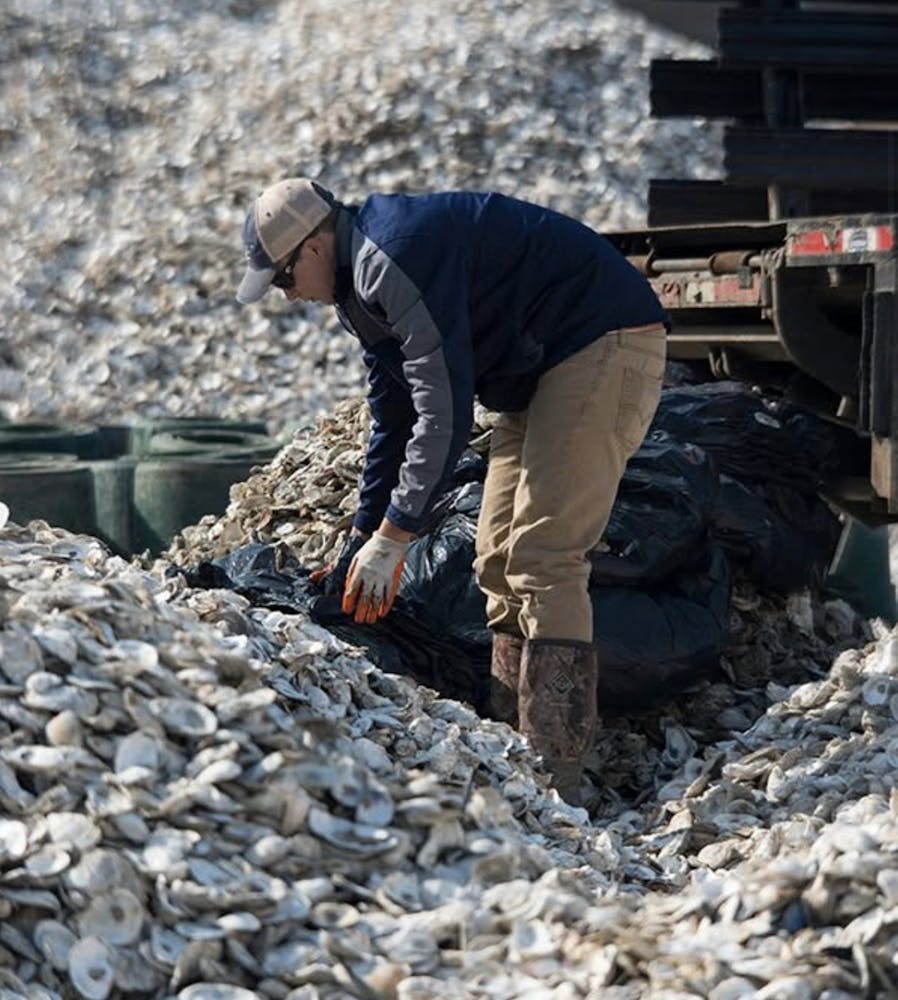 a group of people that are standing in the grass
