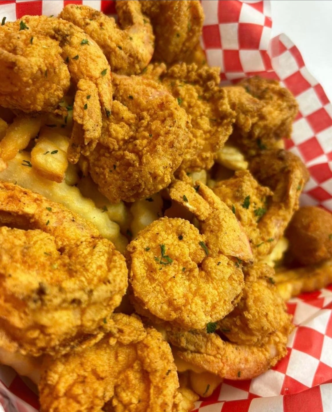 Fish Shrimp Meal