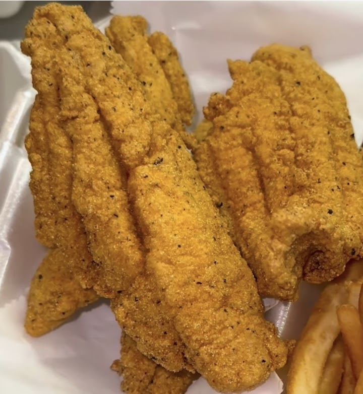 Fish