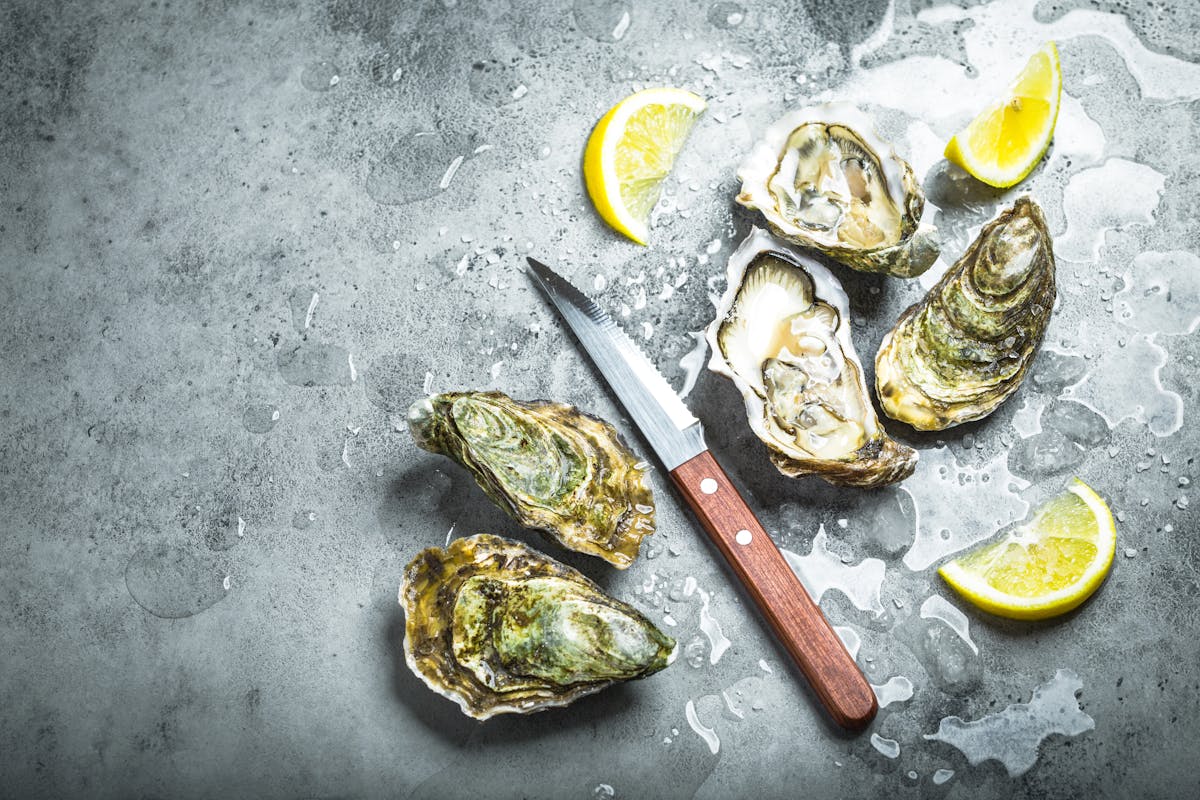 raw bar oysters at summer shack