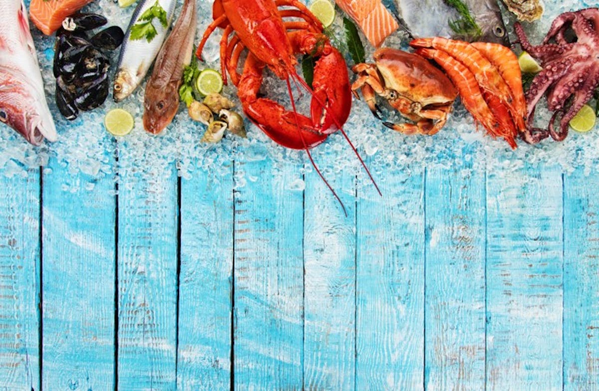 fresh seafood this summer at summer shack