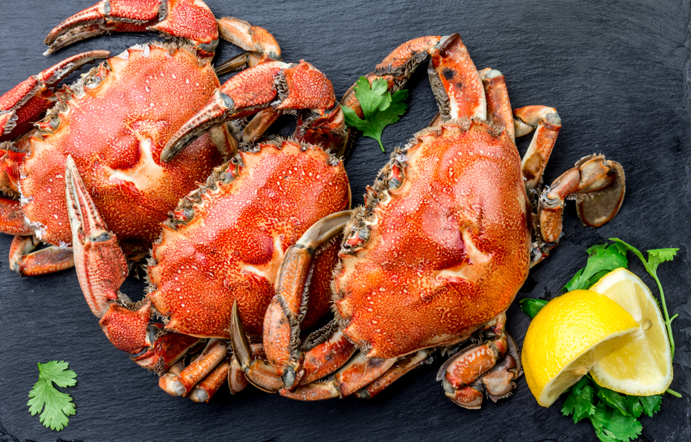 Health Benefits of Eating Crab Summer Shack Award Winning