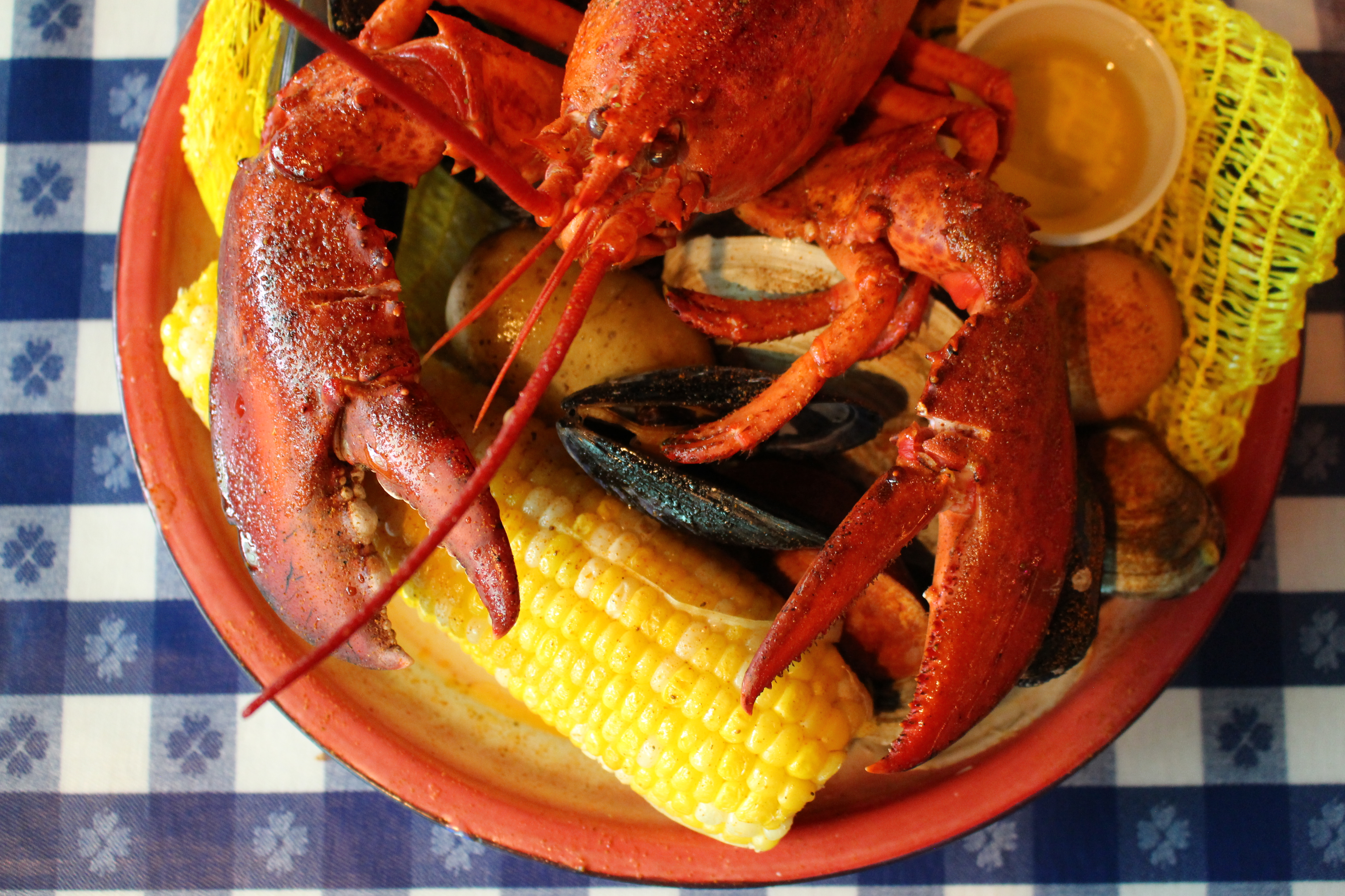 National Lobster Day: September 25th