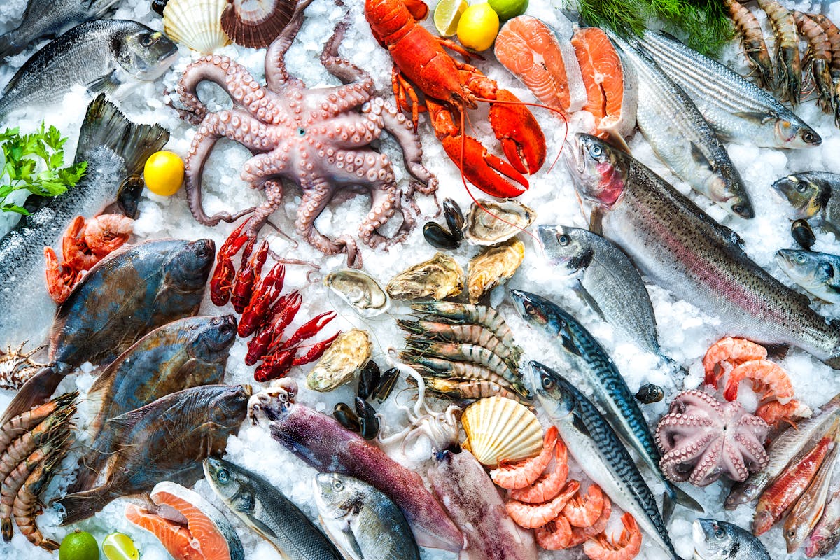 5 Surprising Facts About Seafood, Summer Shack