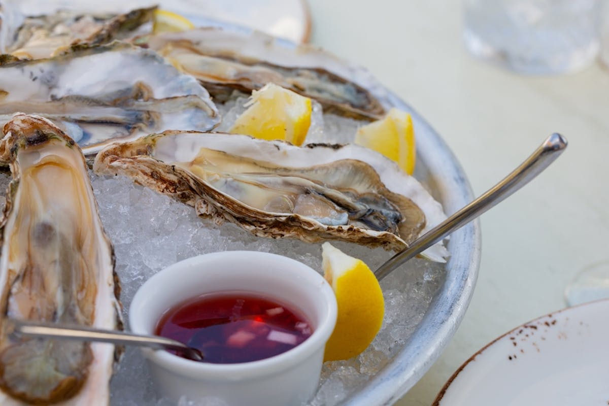 oysters on a plate with lemon and vinegar
