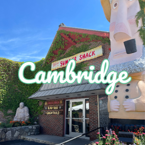 Family-Friendly New Year’s Eve in Cambridge at Summer Shack: Hourly Balloon Drops from 5–8 PM