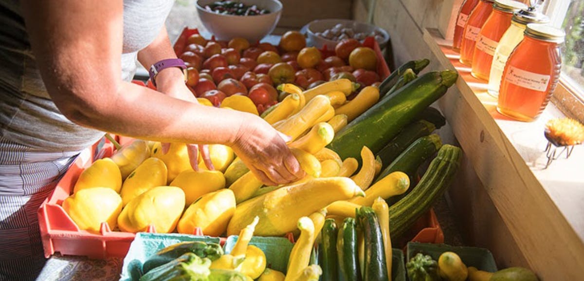 Local Produce- Alpenglow Farm and Zenbarn