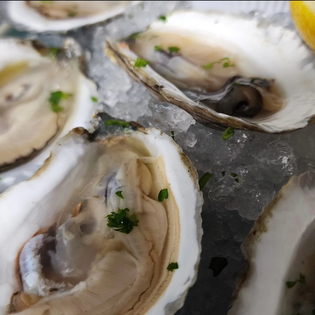 a close up of food