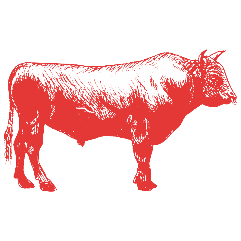 a red cow on a black background
