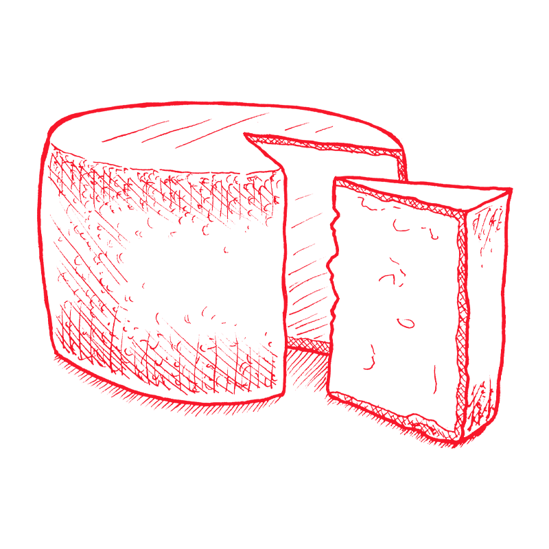 a drawing of a cheese