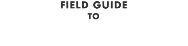 Lazy Bear logo