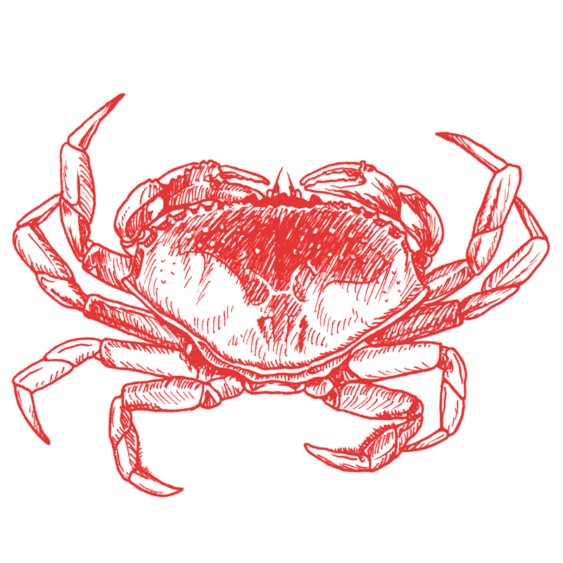 a red crab on a black background