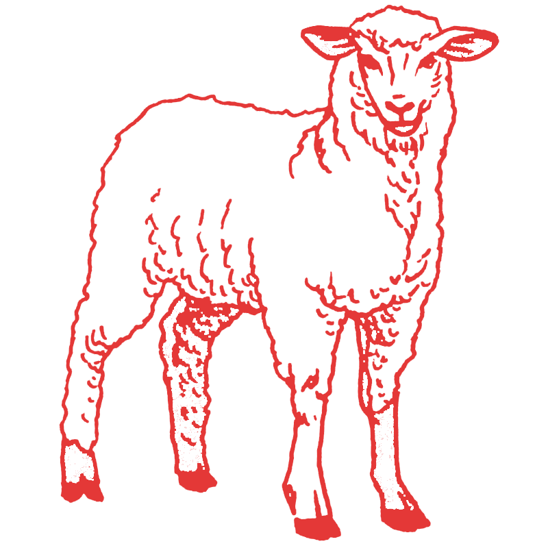 a red outline of a sheep