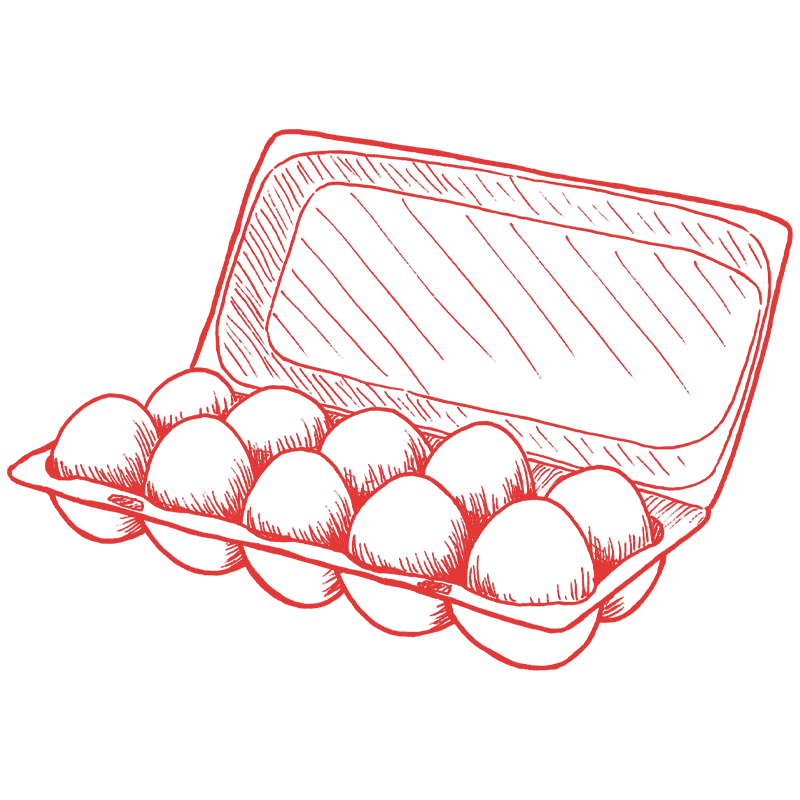 a carton of eggs