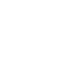 Ray's In The City logo