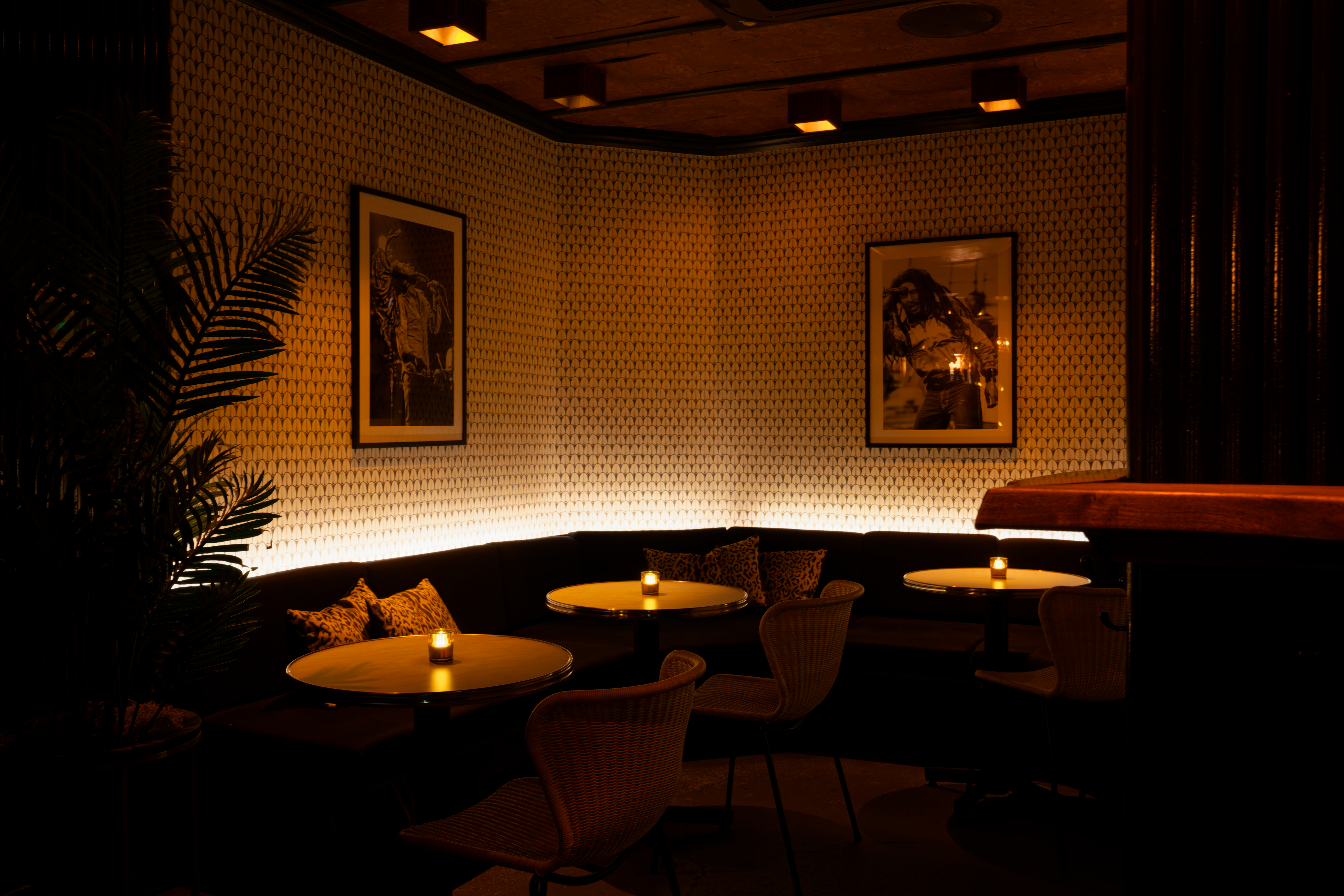 Bar photo 1
