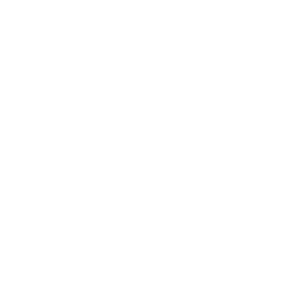 Logo Shaker