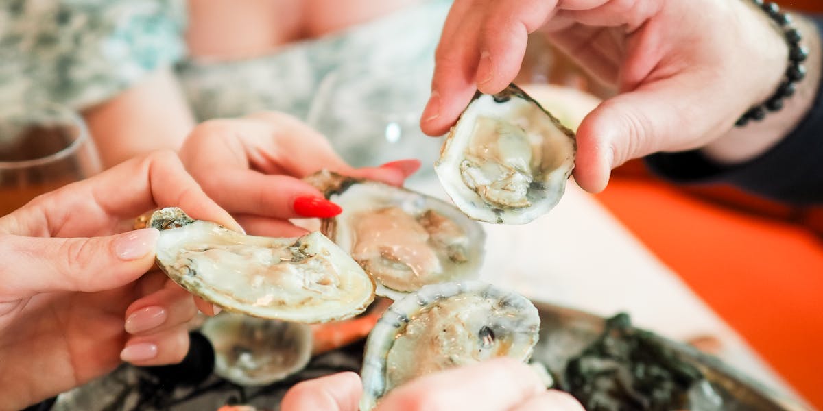 Half Shells at Half Day