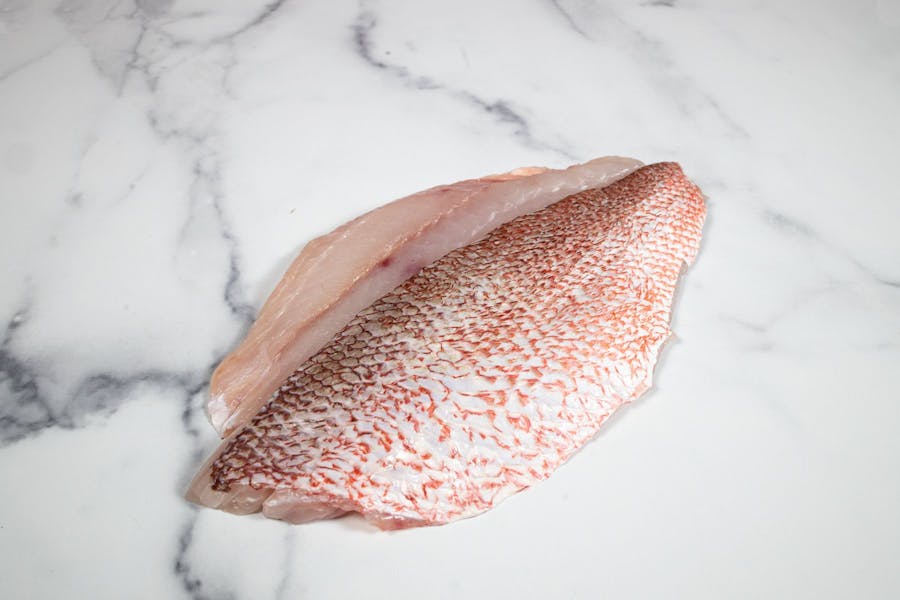 Red Snapper, Fillet, SkinOn (Wild, US) Lobster Place Seafood