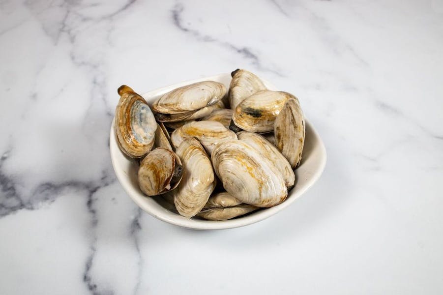 Steamer Clams (Wild, US) Lobster Place Seafood Market in Chelsea