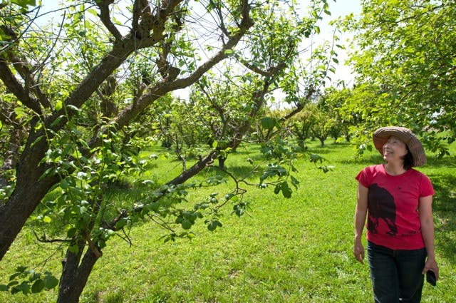 a person standing next to a tree