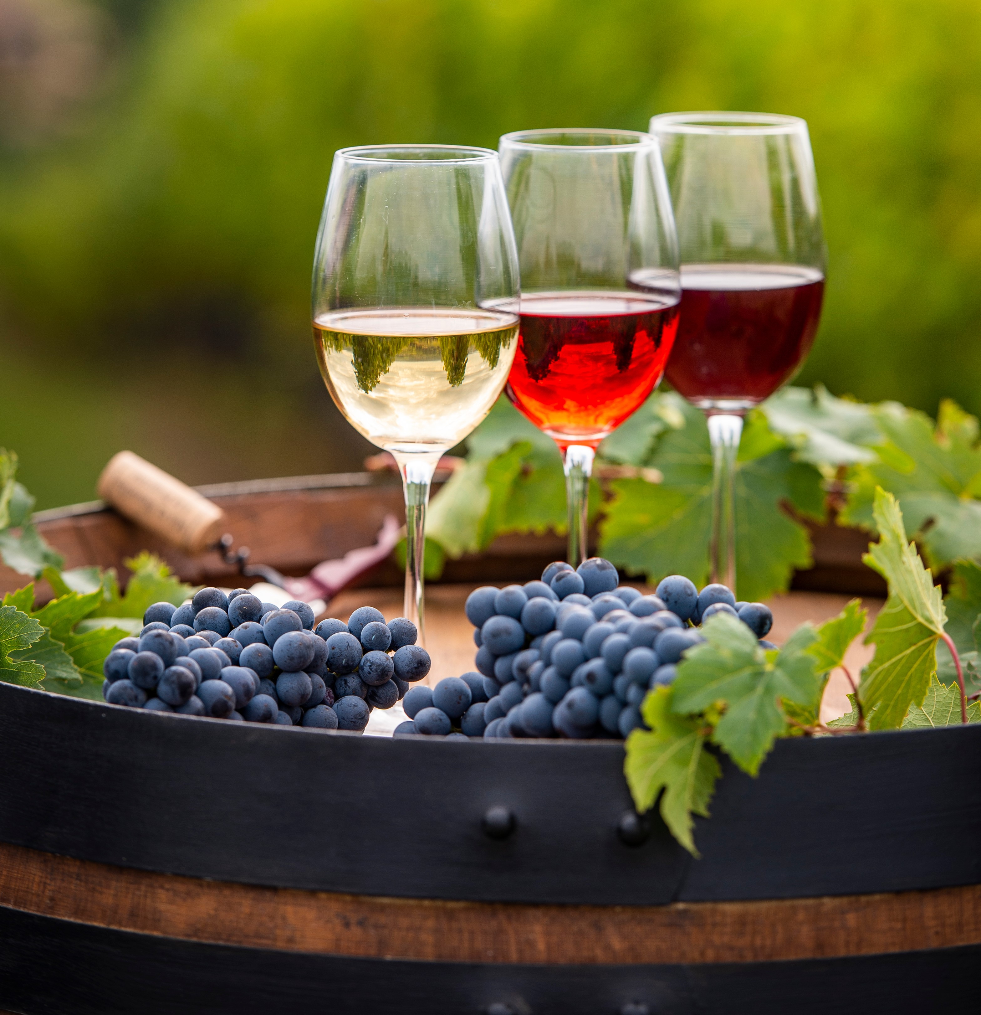 Simms Steakhouse Spring Wine Dinner