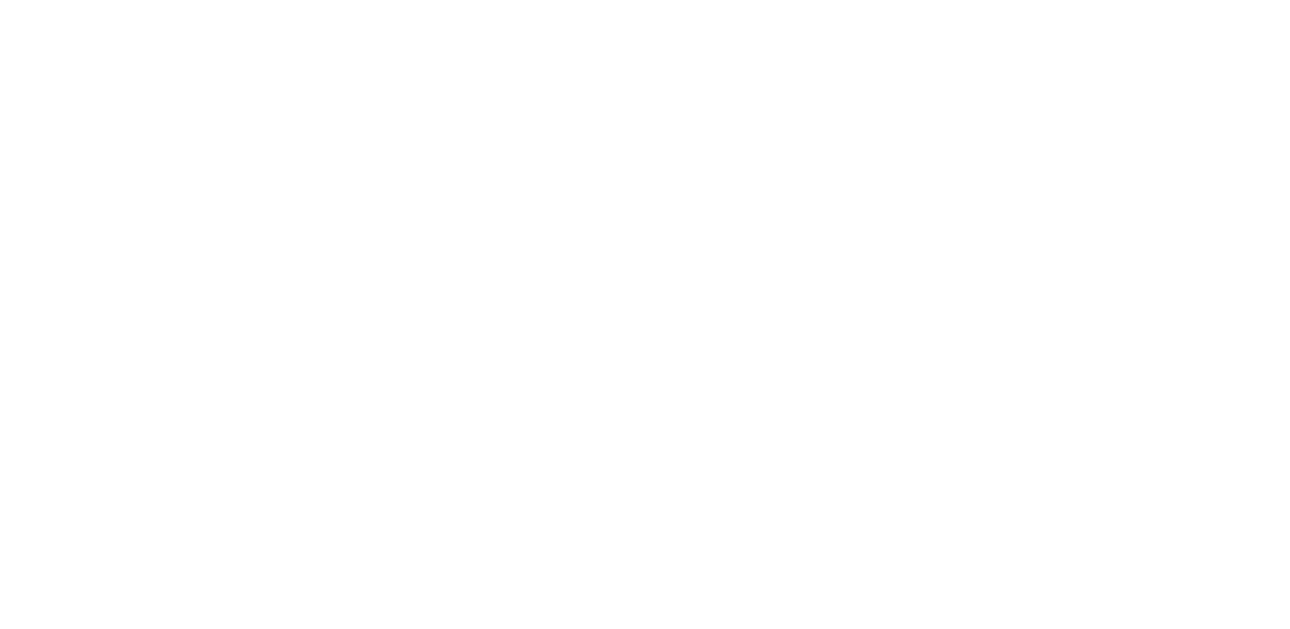 The Chestern Tavern logo