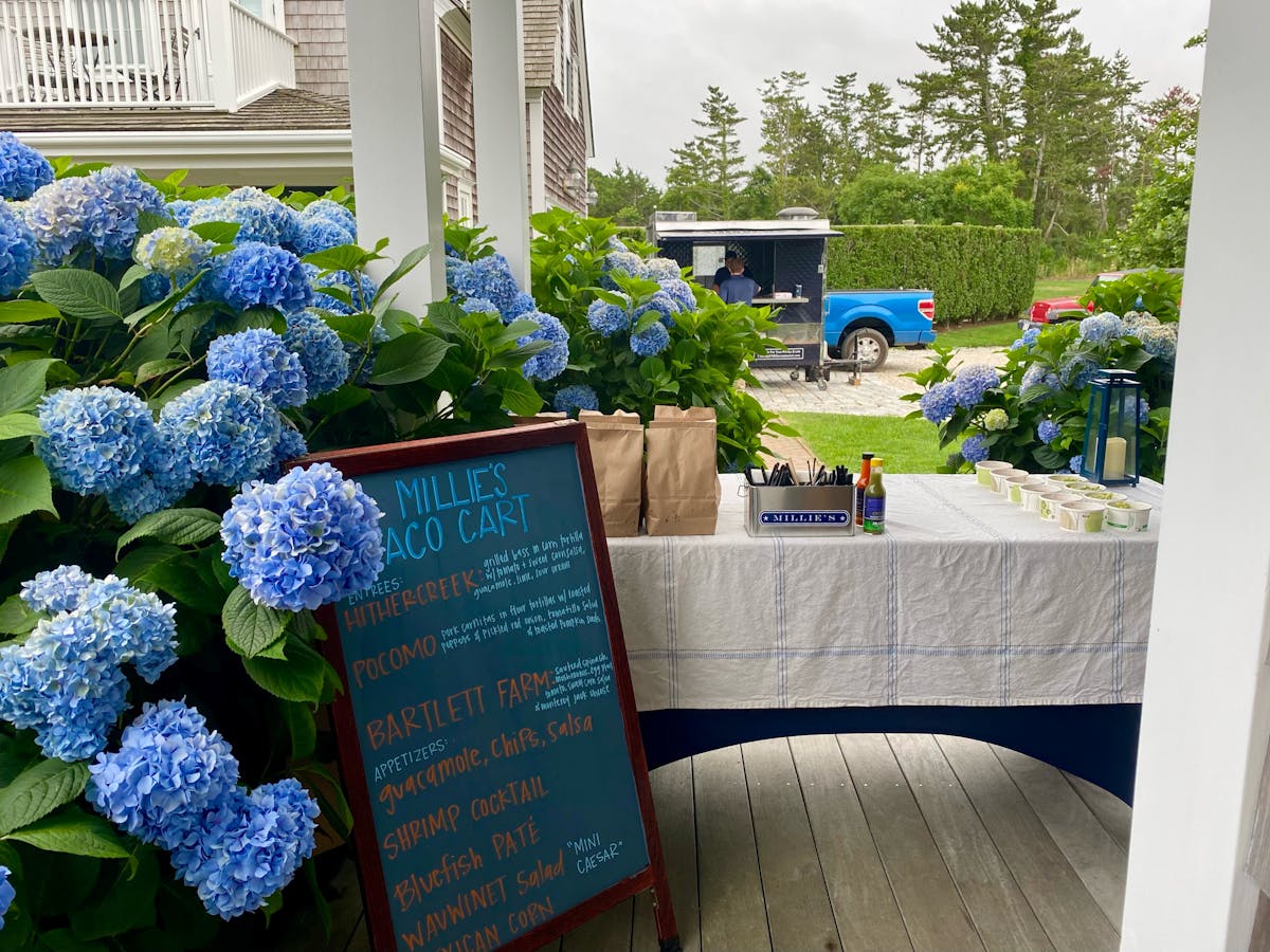 a display in a garden