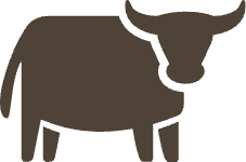 Meat
