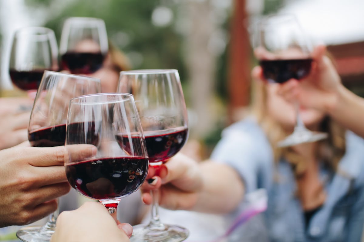 people cheering with drinks