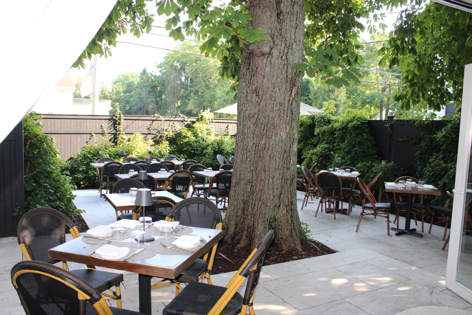 West Patio tables beneath the walnut tree