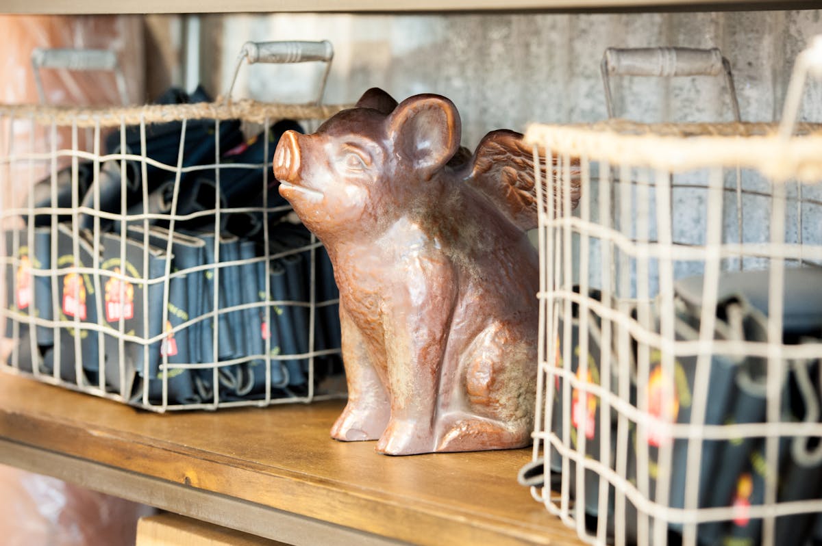 We love piggy!