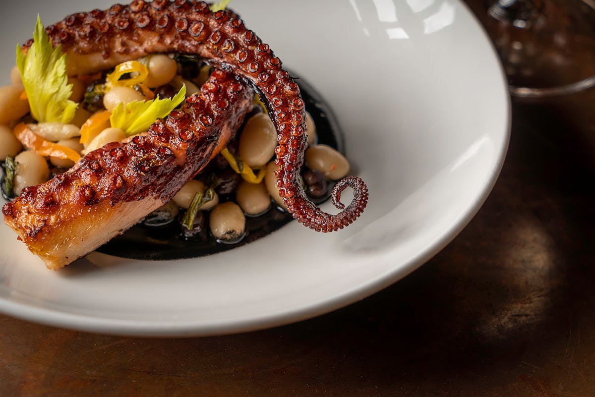 octopus dish