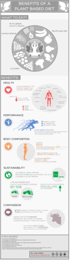 graphical user interface