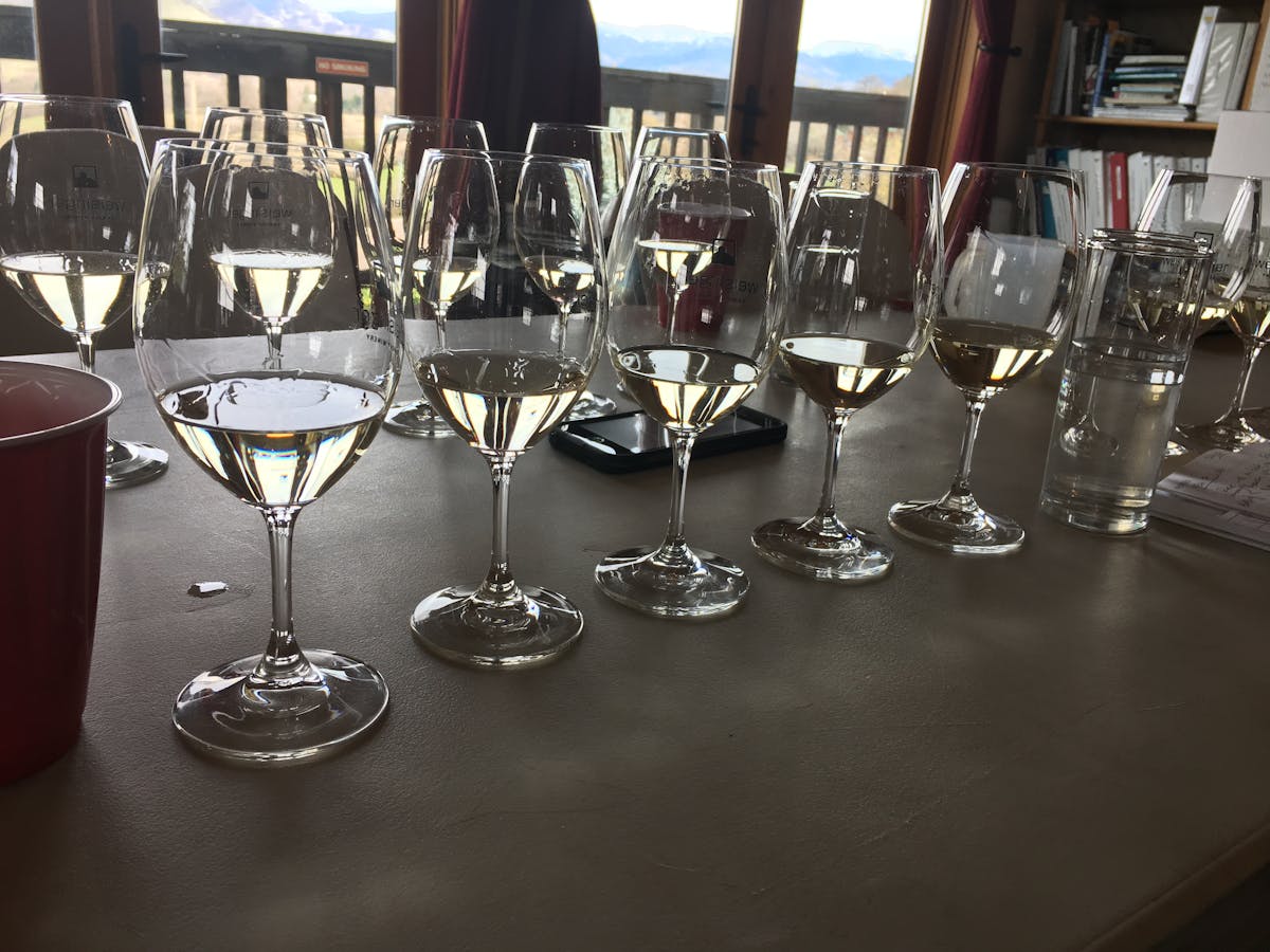 a dining table filled with wine glasses