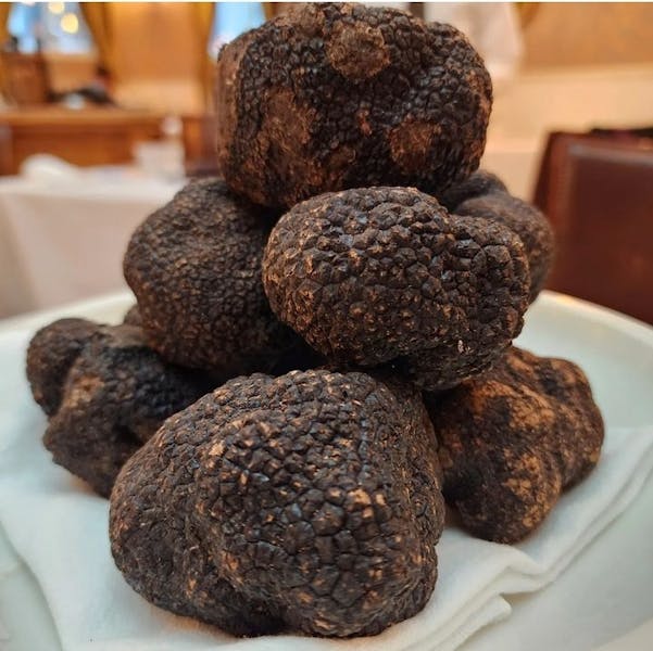 Wine Dinner with Black Truffles Babbo Italian Restaurant in New