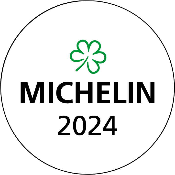michelin logo